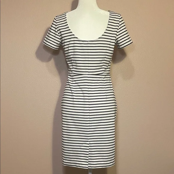 Banana Republic Black White Striped Sheath Dress
(Belt not included) - Picture 3 of 7